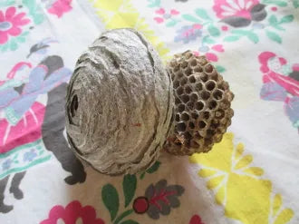 Wasp Nest Piece-Better Business, Fidelity, and Hex Breaking