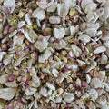 Dittany of Crete Herb-Spirit, Divination, Astral Travel, Psychic