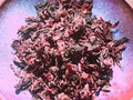Hibiscus Blooms