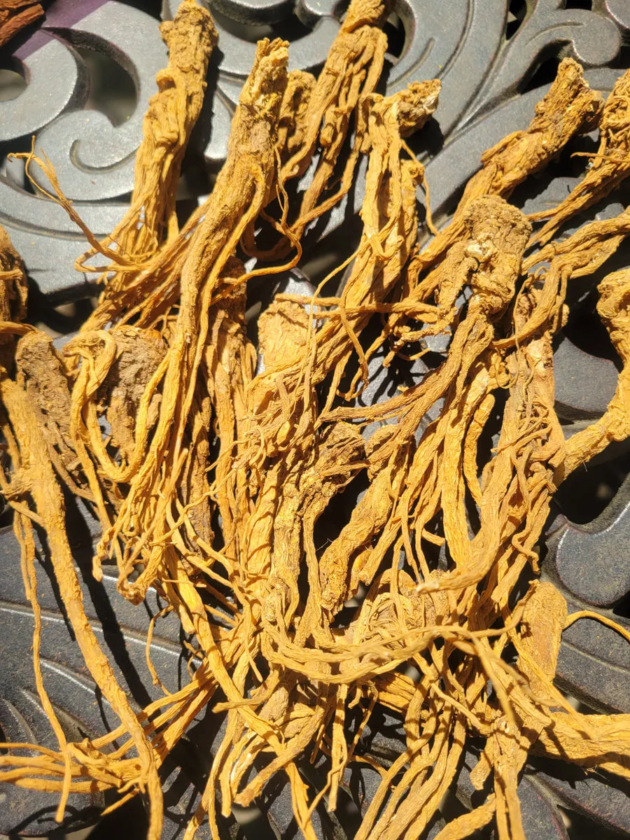 Small Whole Master Root 6 Inch-St. Michael-Protection, Power, Luck