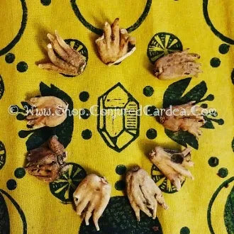 MEDIUM Lucky Hand Root-Luck, Business, Money, Protection, Love