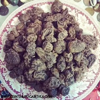 Medium High John Root-Success, Power, Prosperity, Drawing