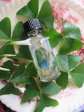 Saint Patrick-Faith, Miracles, Serpents, Irish Heritage