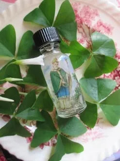 Saint Patrick-Faith, Miracles, Serpents, Irish Heritage