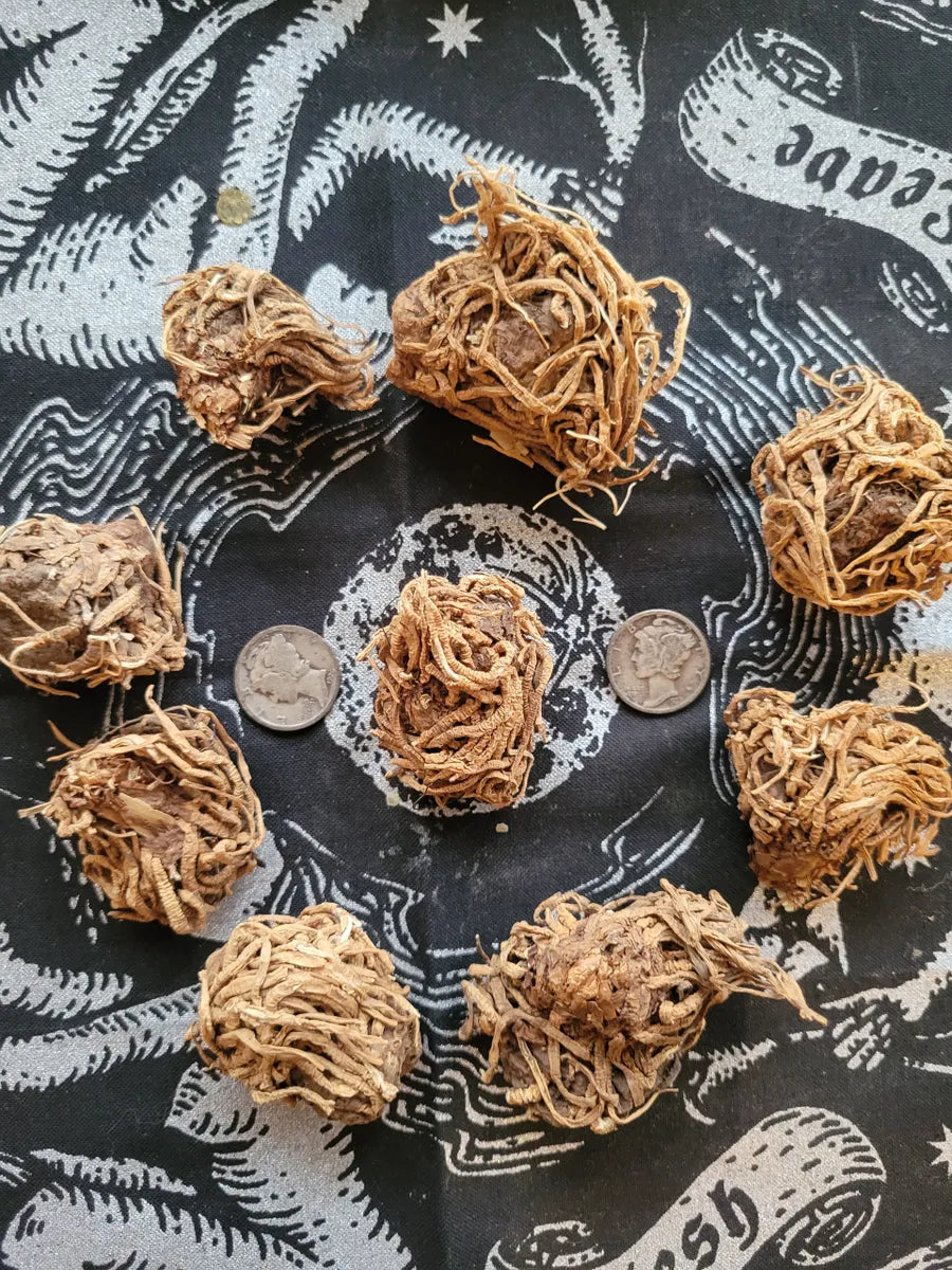 Low John, Southern John, Dixie John Root-Love, Sex, Fidelity