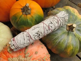 Large 9 Inch Sage Bundle-Purification, Protection, Blessings