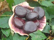 Heart of the Ocean-Set of 2-Sea Heart-Ocean Voyager-Yemaya, Luck, Love