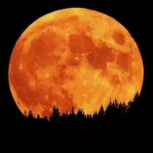 Harvest Moon Service-OCT 1ST-Abundance, Success, Reward