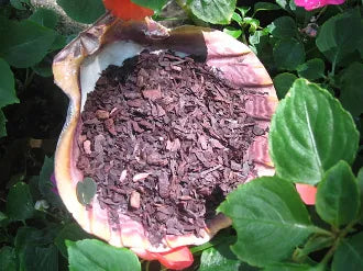 Alkanet Root-Prosperity, Purification, Protection, Gambling