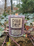 "Level-Up" Conjure Collection Soy Candles-For Invisible "Baddie" Magick at Home or Office