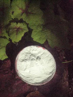 Bewitching Powder-Glamour, Enhances Your own Unique Appeal