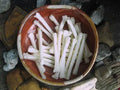 Large Coyote Bones -Set of 2-Luck, Cunning, Skill, Intellect, Strength