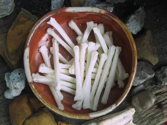 Large Coyote Bones -Set of 2-Luck, Cunning, Skill, Intellect, Strength