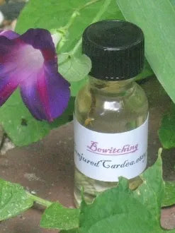 Bewitching Oil-Glamour, Enhance Your Own Unique Appeal