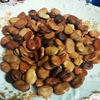 13 Mojo/African Wishing/Saint Joseph Beans-Good Luck, Mojos