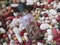 Saint Joseph Oil-Employment, Business, Sells & Finds Homes
