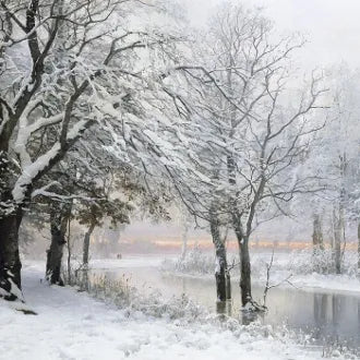 Winter Solstice Ritual Spell Service-Balance, Hope, Renewal, Strength