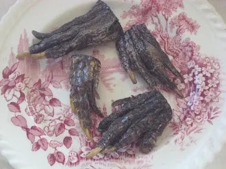 Alligator Claw-Success, Winning, Luck, Money, Gambler's Delight