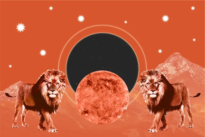 Lion's Gate Portal Service-Fast Luck, Success, Manifestation