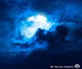 Blue Moon Service-Connect to Divine, Alignment, Success